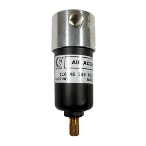 Filter, Air, 1/4" Npt