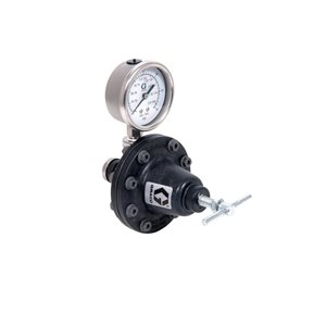 D/S Regulator,1/4in,Acetal,20-100 psi