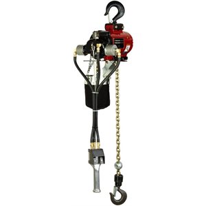 Hoist, 2200 LB Capacity, Chain Pull Control, Hook Mount, 25 FT Lift, Steel Chain Container